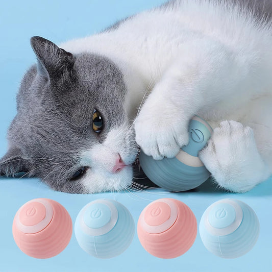 Interaktiver Elektrischer Katzenball – Spielspaß für neugierige Katzen! 🐱⚡
