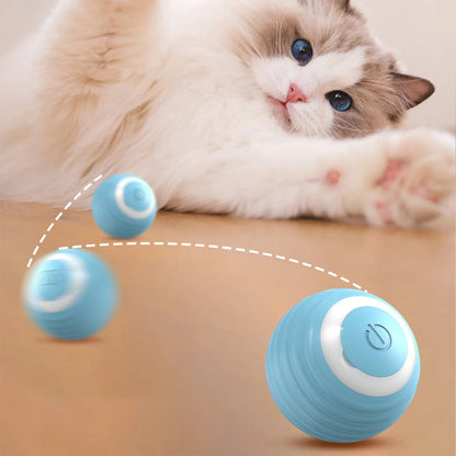 Interaktiver Elektrischer Katzenball – Spielspaß für neugierige Katzen! 🐱⚡