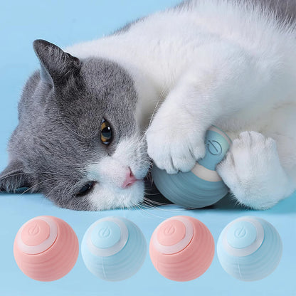 Interaktiver Elektrischer Katzenball – Spielspaß für neugierige Katzen! 🐱⚡